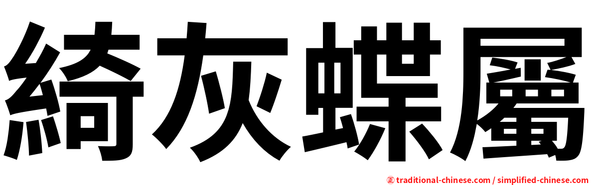 綺灰蝶屬