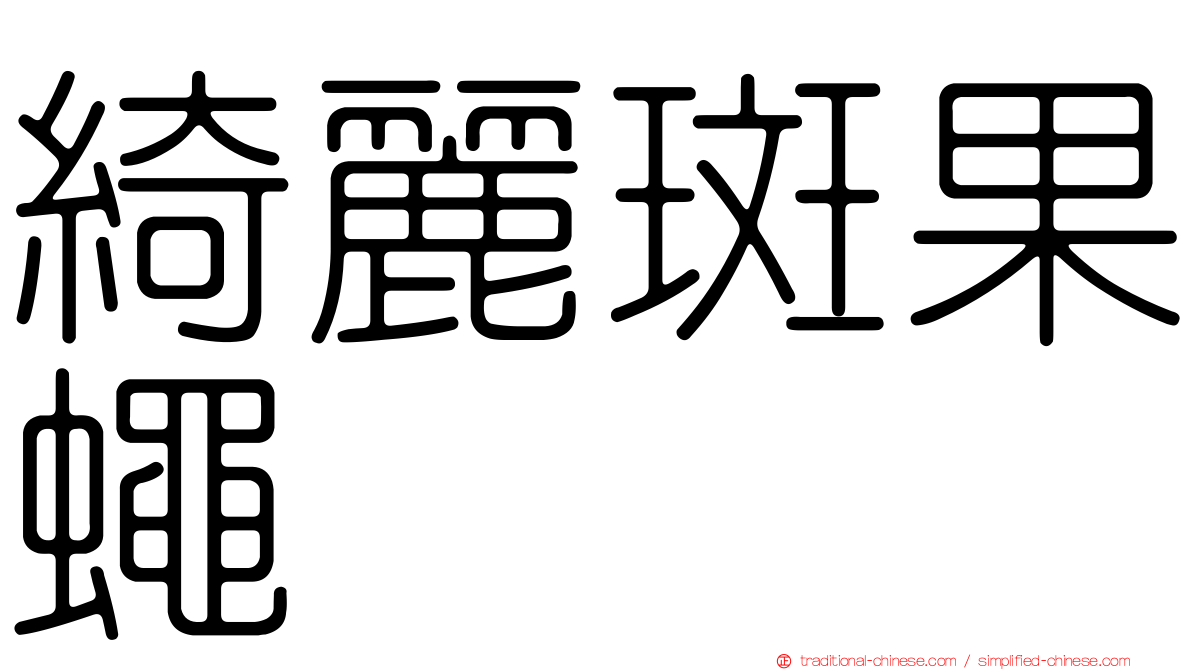 綺麗斑果蠅