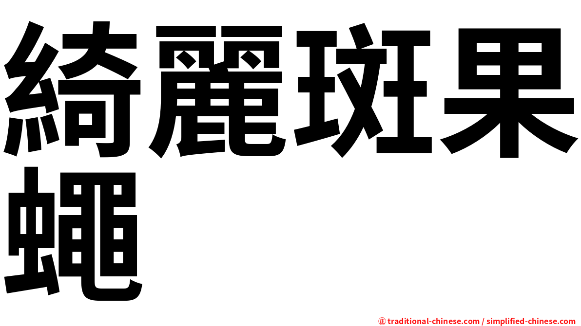 綺麗斑果蠅