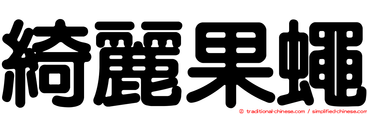 綺麗果蠅