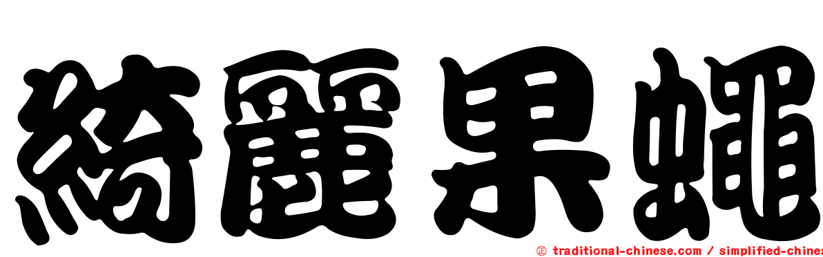 綺麗果蠅