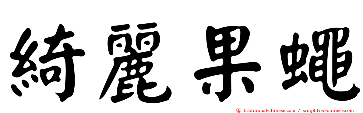 綺麗果蠅