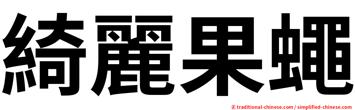 綺麗果蠅