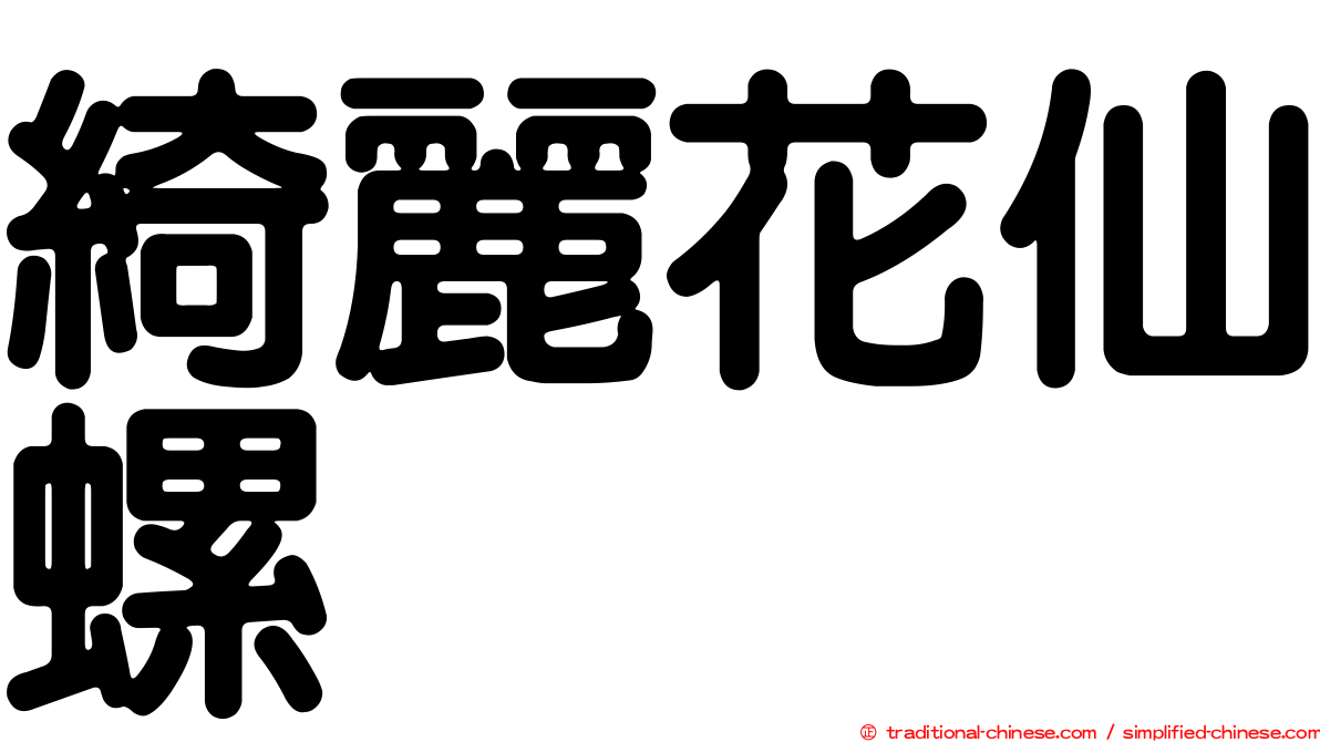 綺麗花仙螺