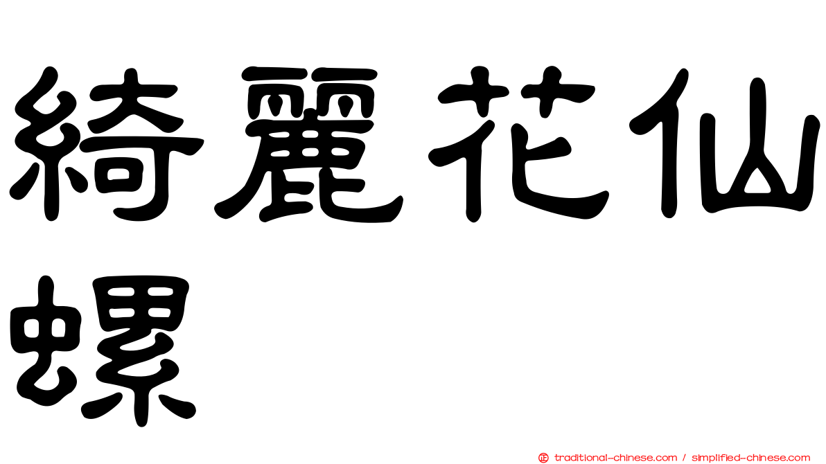 綺麗花仙螺