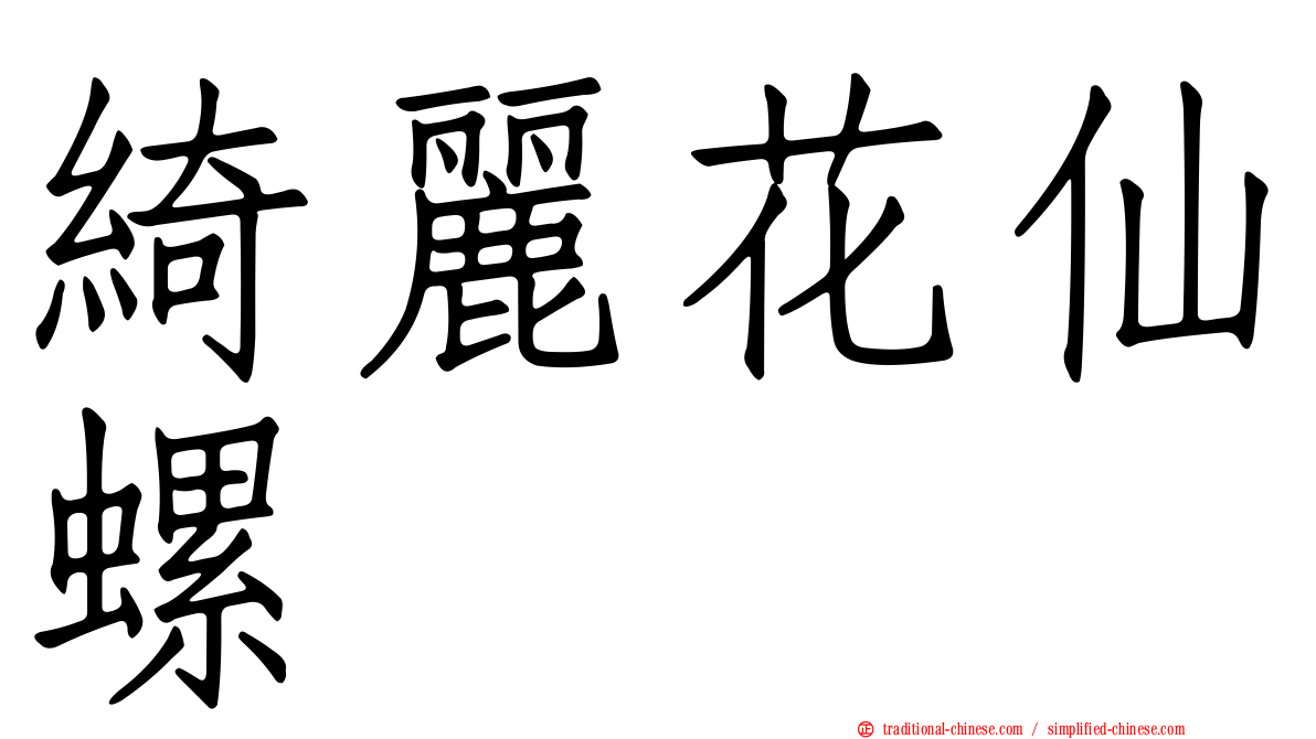 綺麗花仙螺