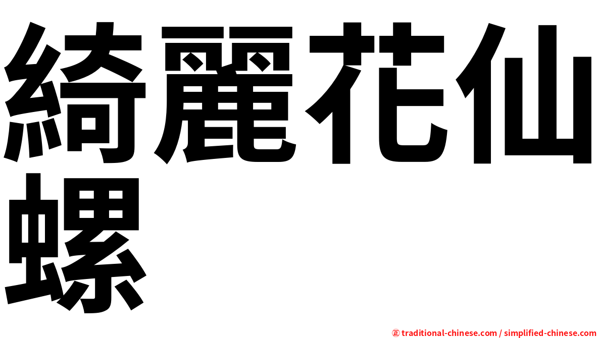 綺麗花仙螺