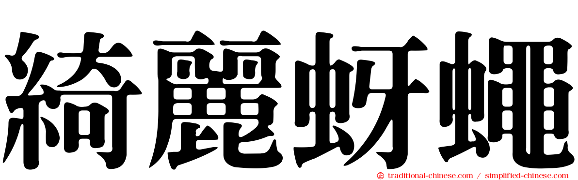綺麗蚜蠅