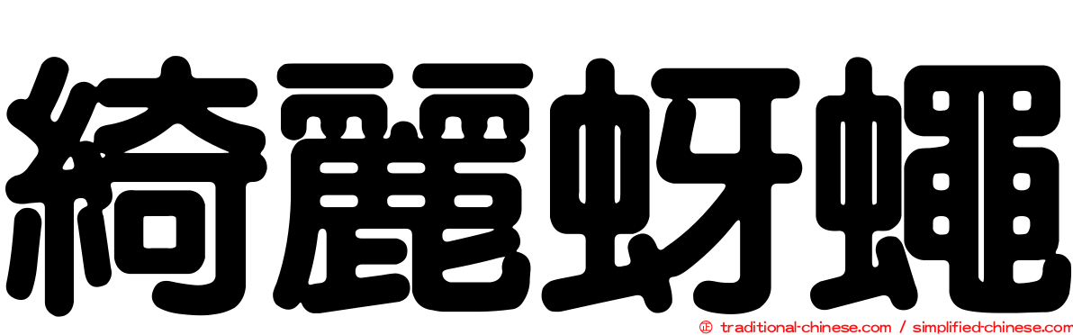 綺麗蚜蠅