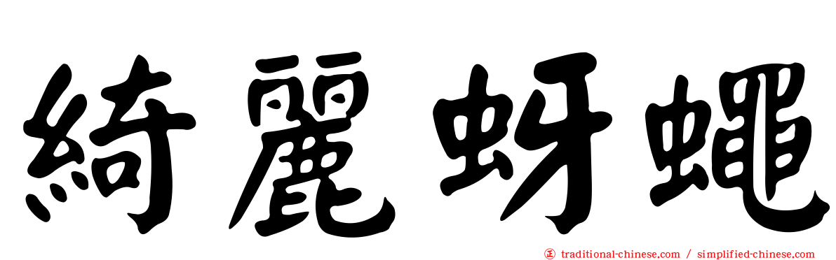 綺麗蚜蠅
