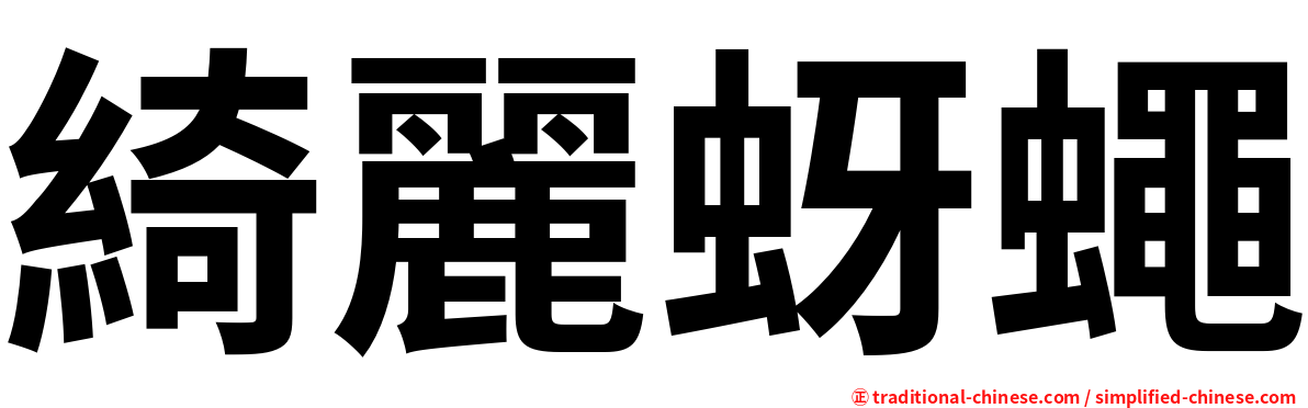 綺麗蚜蠅
