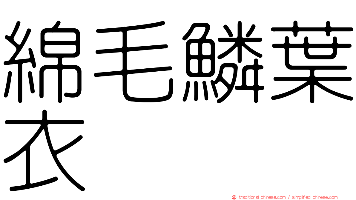綿毛鱗葉衣