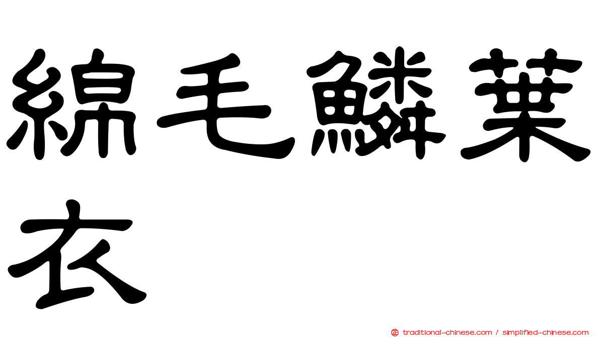 綿毛鱗葉衣