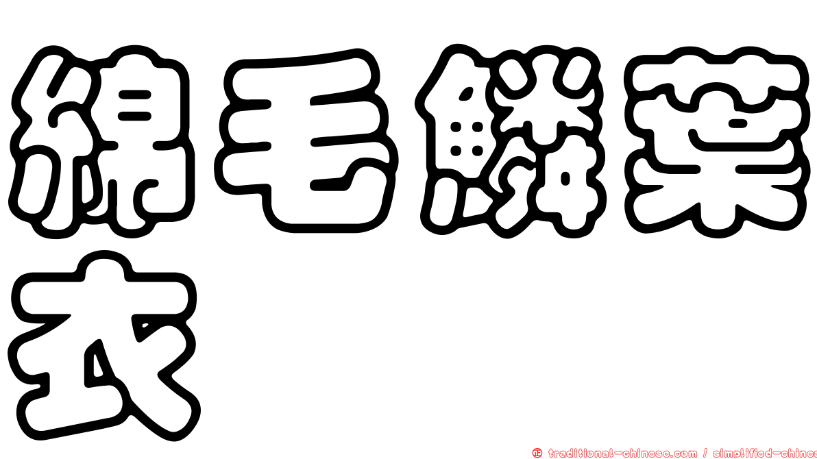 綿毛鱗葉衣