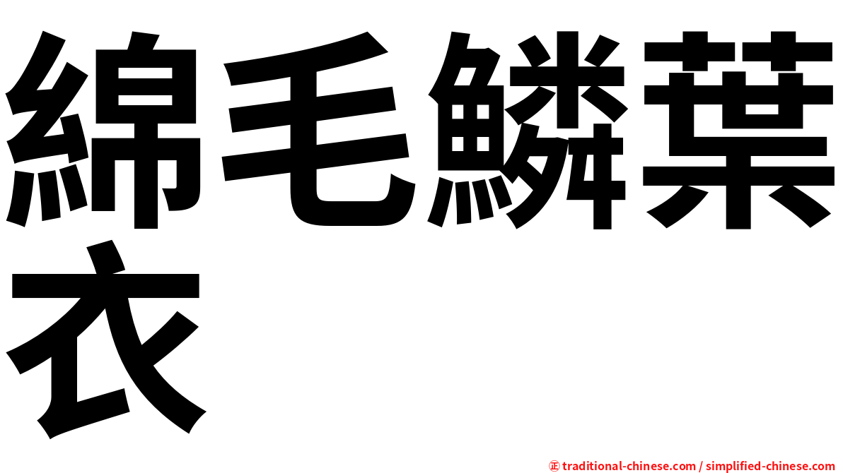 綿毛鱗葉衣