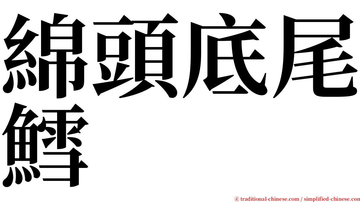 綿頭底尾鱈 serif font