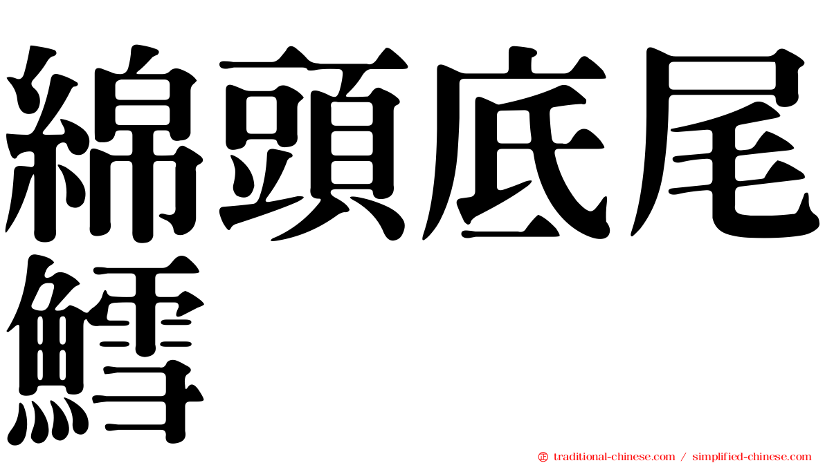 綿頭底尾鱈