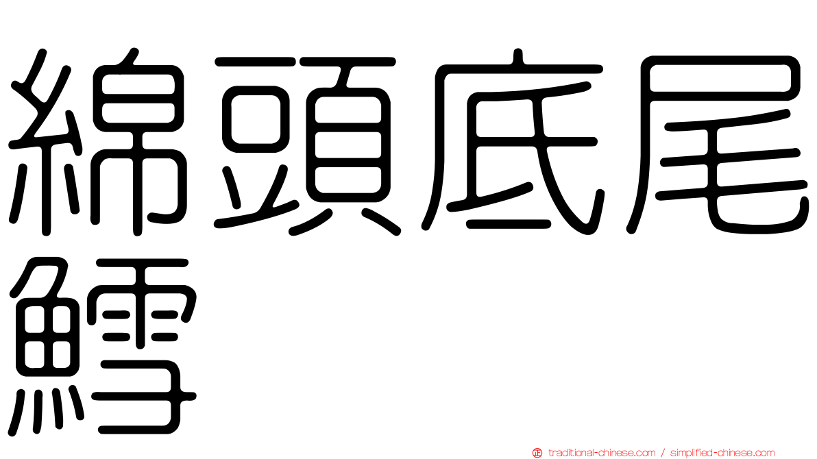 綿頭底尾鱈