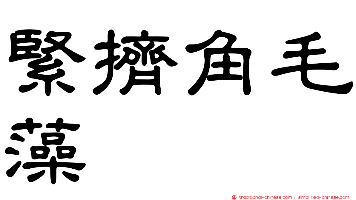緊擠角毛藻