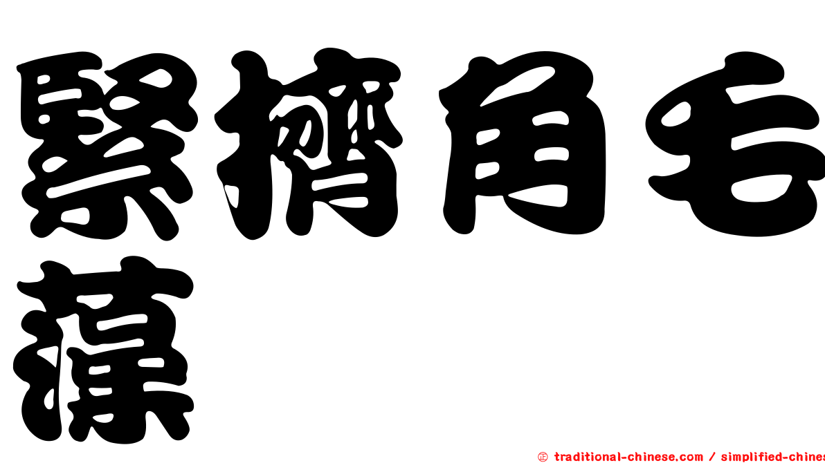 緊擠角毛藻