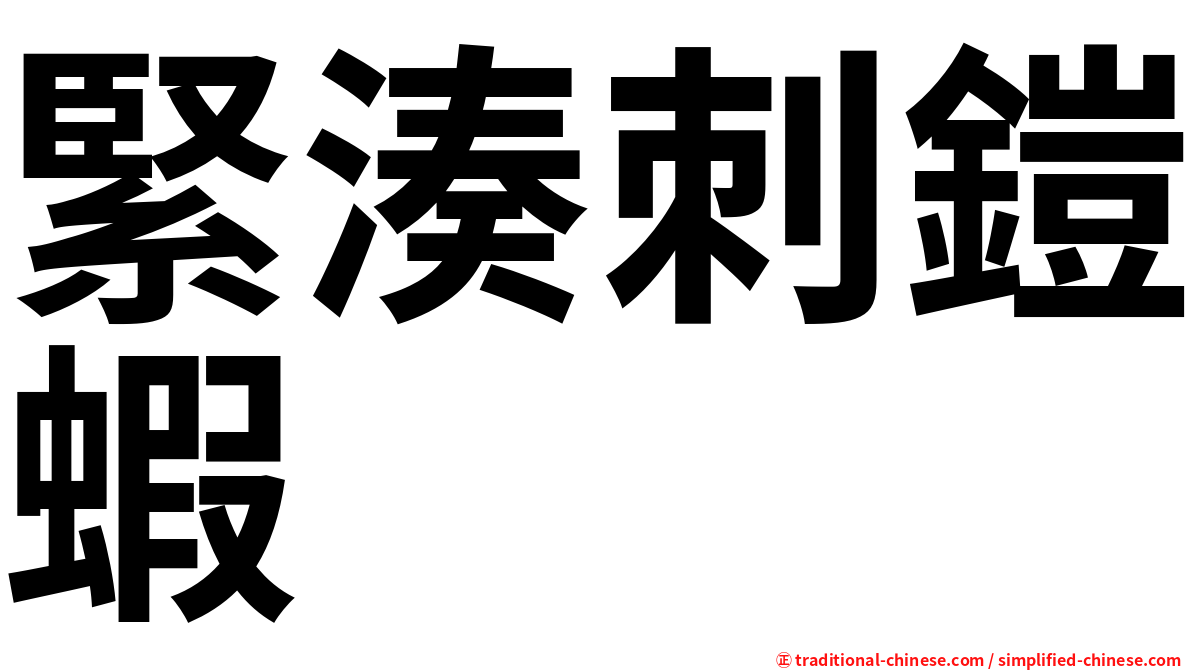 緊湊刺鎧蝦