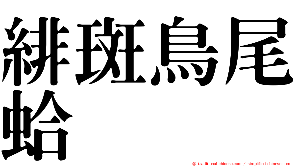 緋斑鳥尾蛤