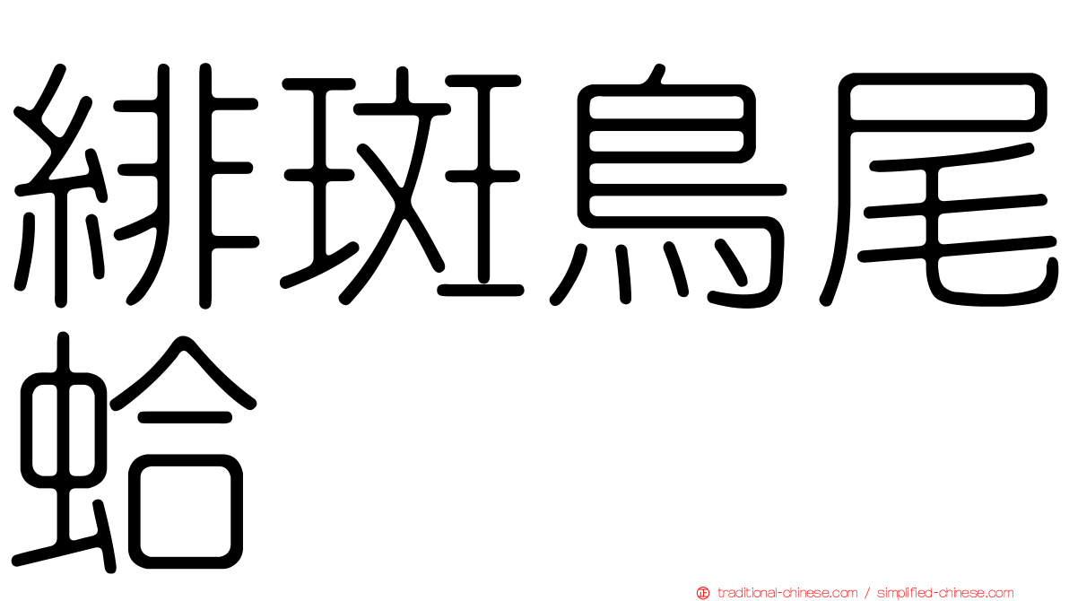 緋斑鳥尾蛤