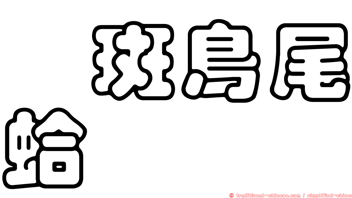 緋斑鳥尾蛤