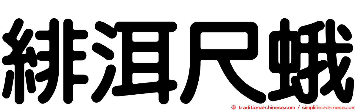 緋洱尺蛾