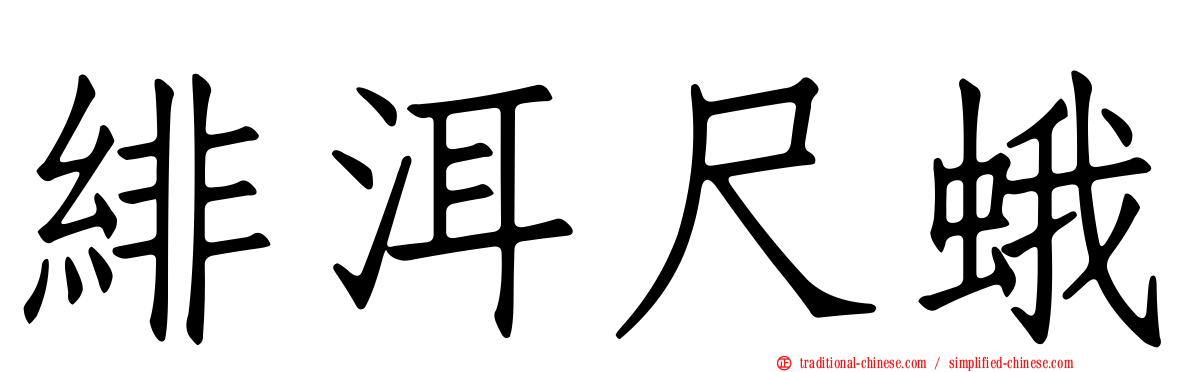 緋洱尺蛾