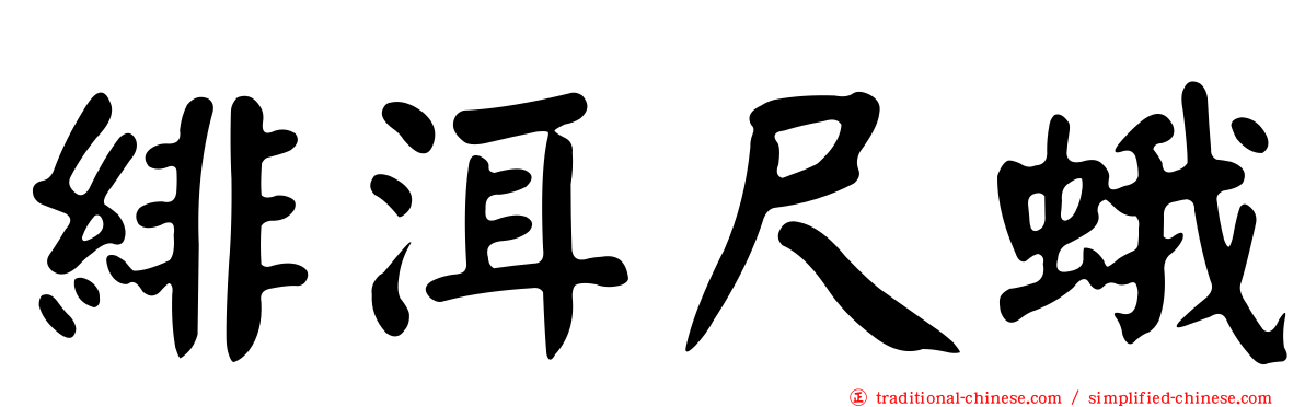 緋洱尺蛾