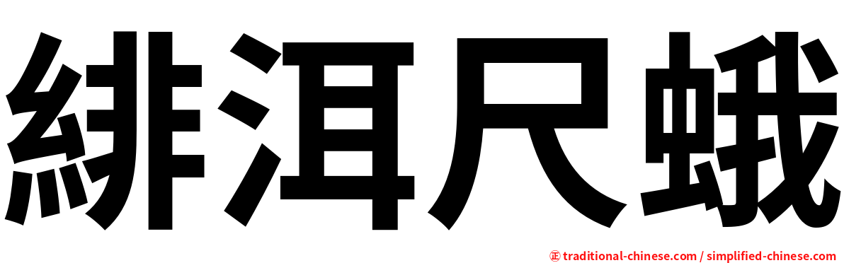 緋洱尺蛾