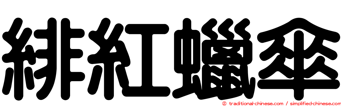 緋紅蠟傘