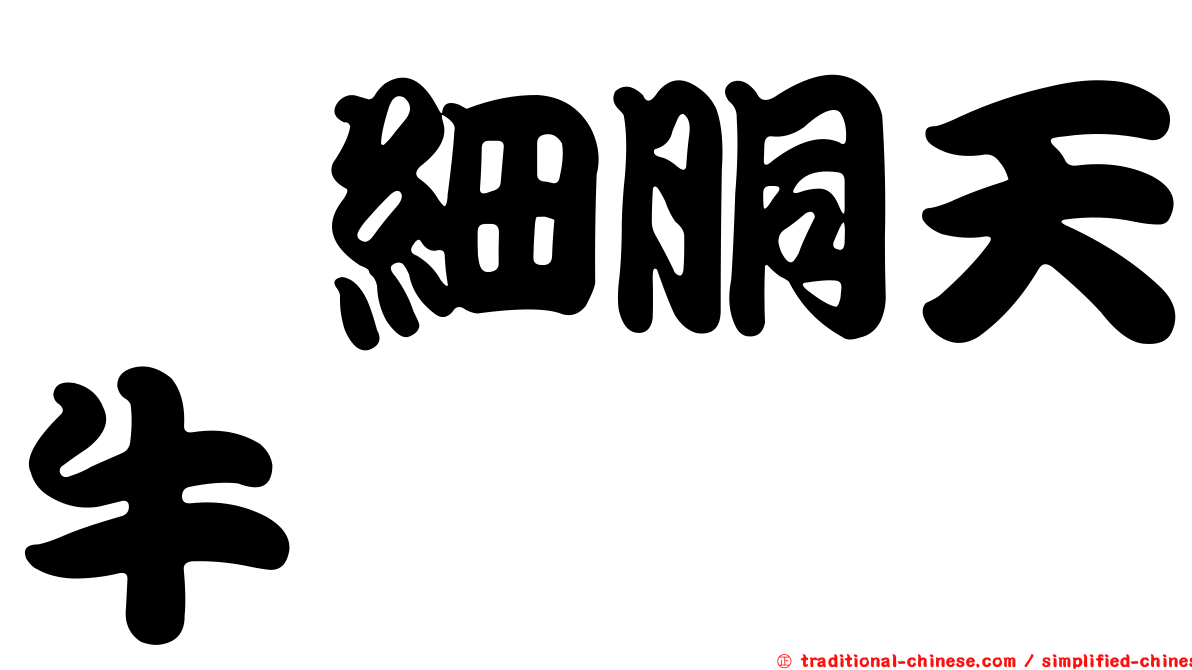 緋細胴天牛