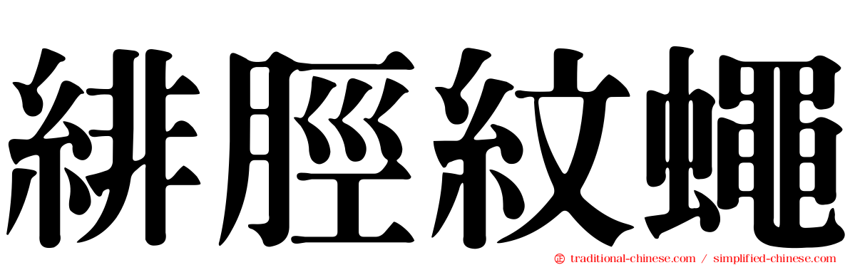 緋脛紋蠅