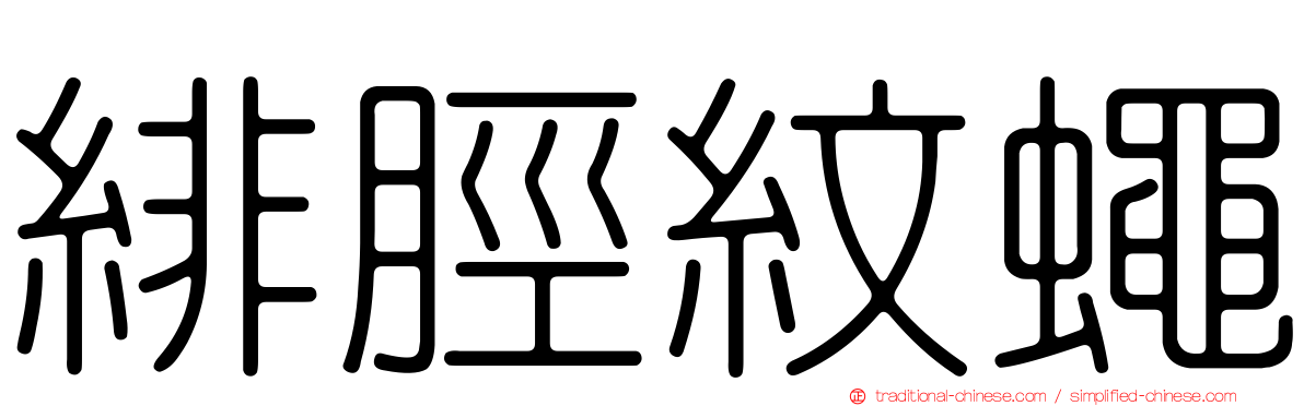 緋脛紋蠅