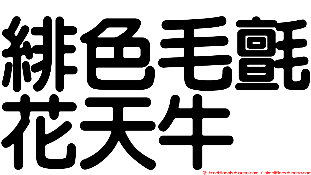 緋色毛氈花天牛