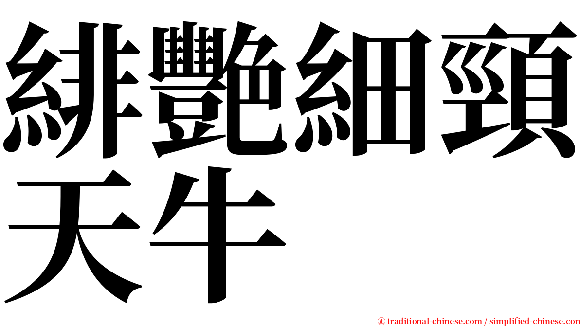 緋艷細頸天牛 serif font