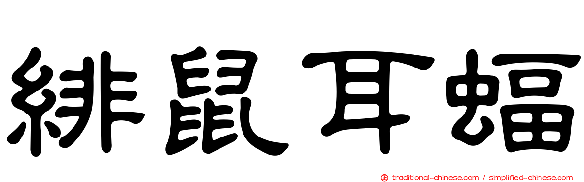 緋鼠耳蝠