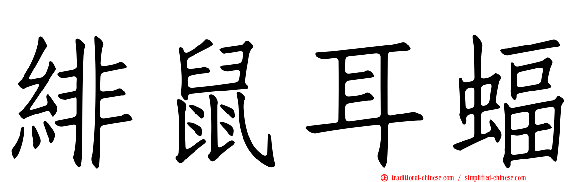 緋鼠耳蝠