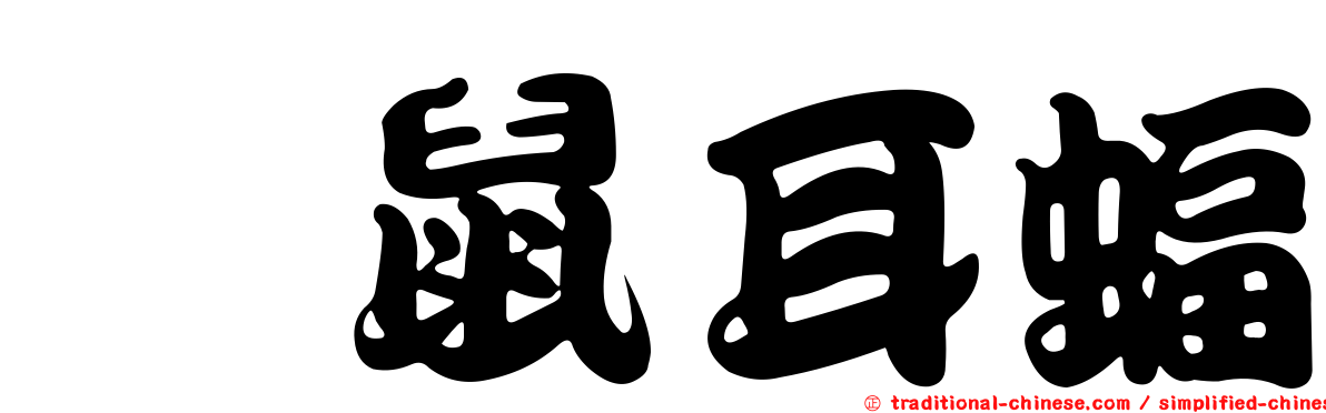 緋鼠耳蝠