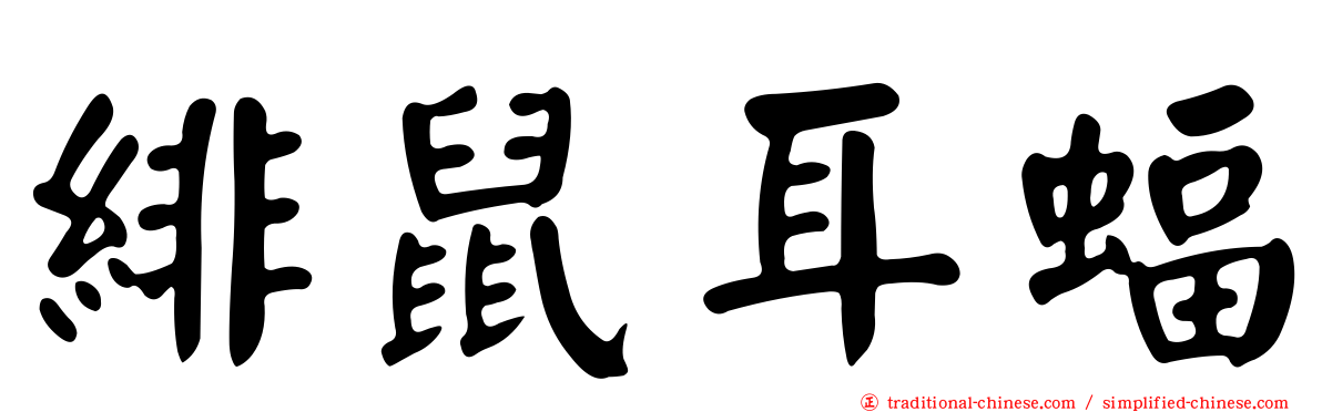緋鼠耳蝠