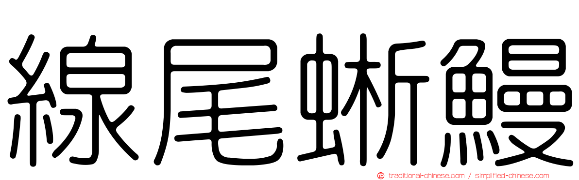 線尾蜥鰻