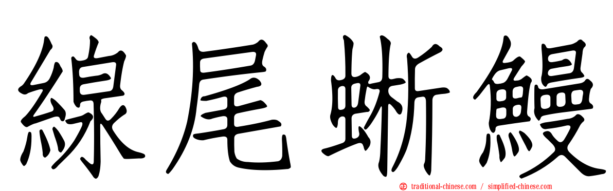 線尾蜥鰻
