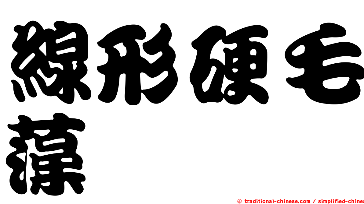 線形硬毛藻