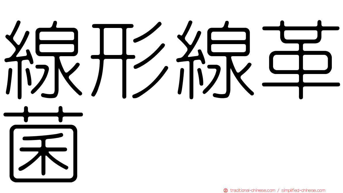 線形線革菌