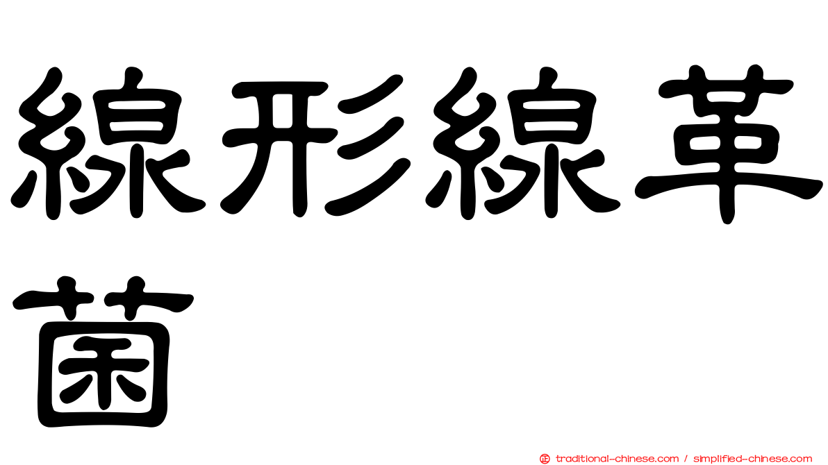 線形線革菌