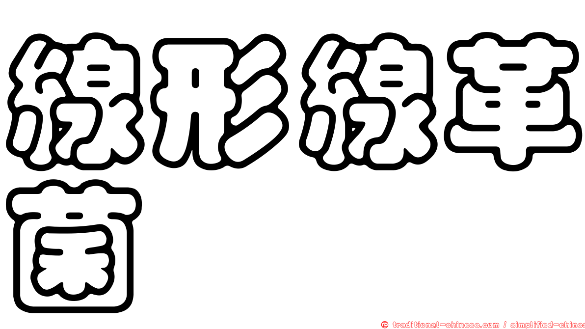 線形線革菌