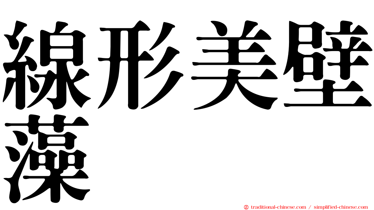 線形美壁藻