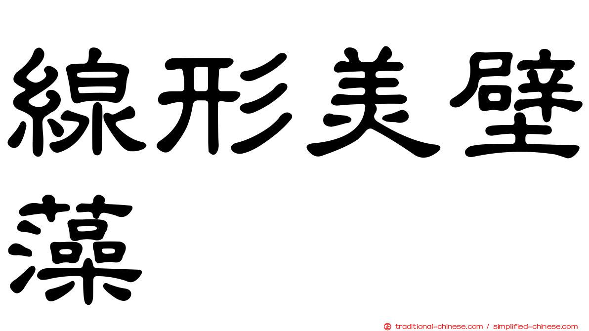 線形美壁藻